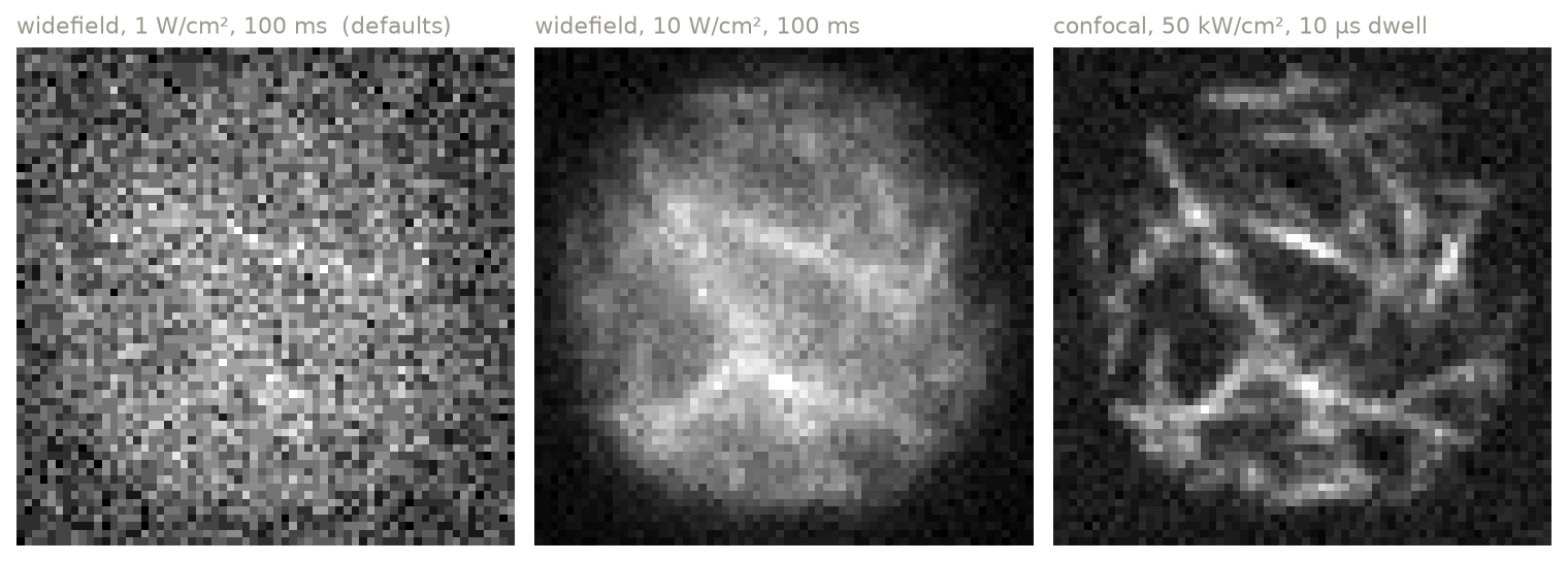 The same sample at higher irradiance, and in confocal