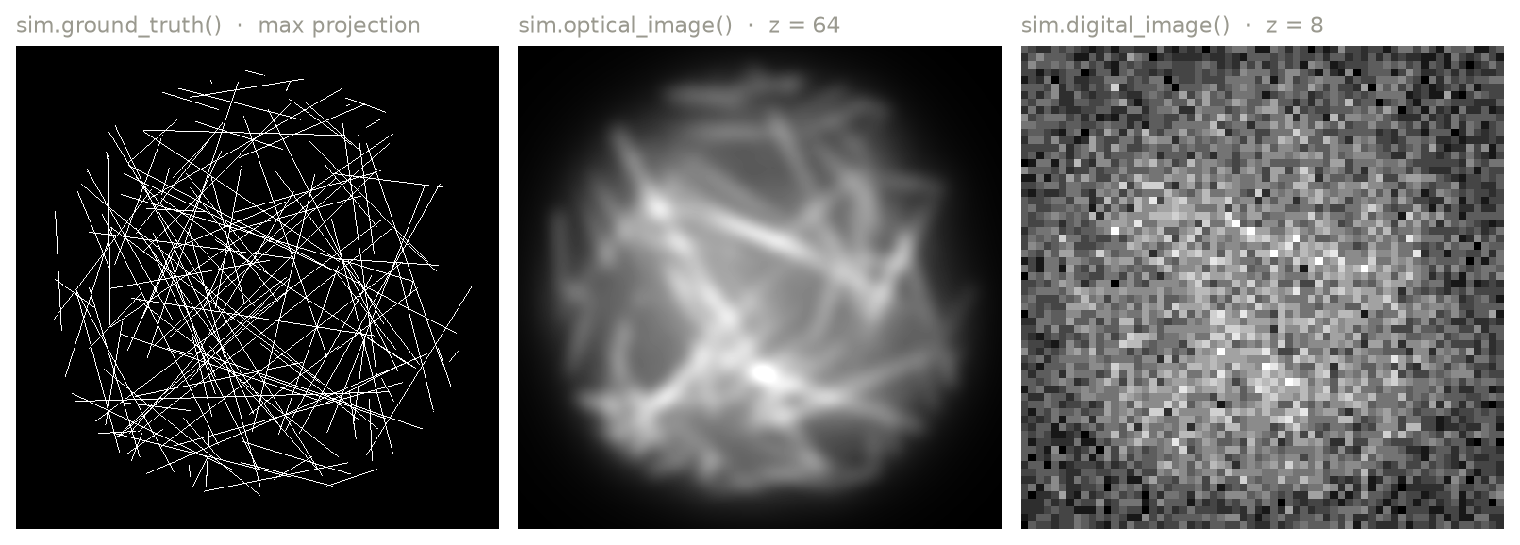 Ground truth, optical image, and digital image