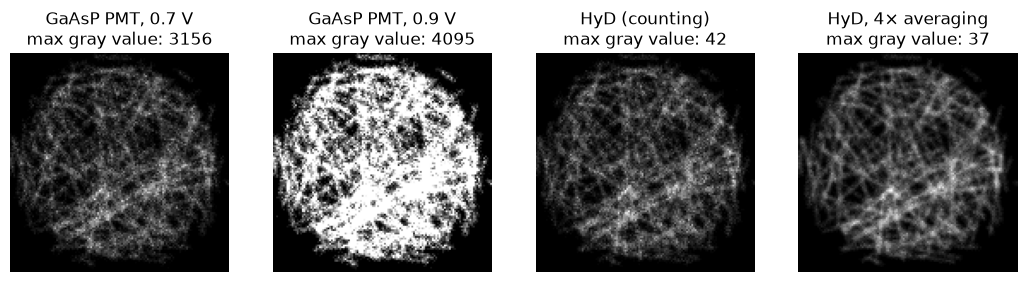 PMT and HyD on a confocal image