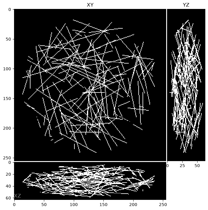 Maximum projections of random lines