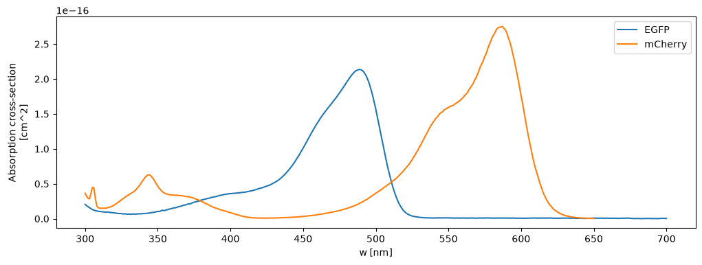 Absorption cross sections of EGFP and mCherry