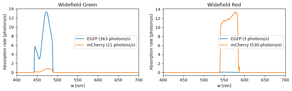 Absorption rates of each fluorophore in each channel