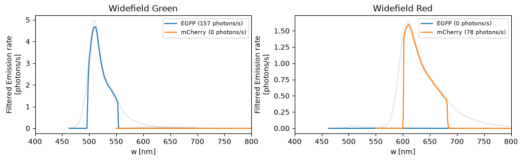 Photons passing the emission filters