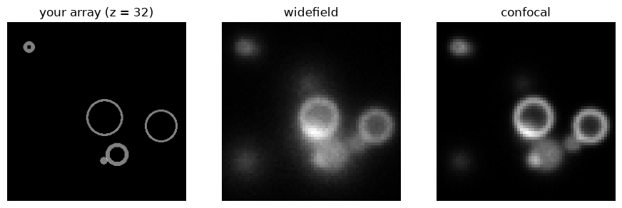 The array, and its simulated widefield and confocal images